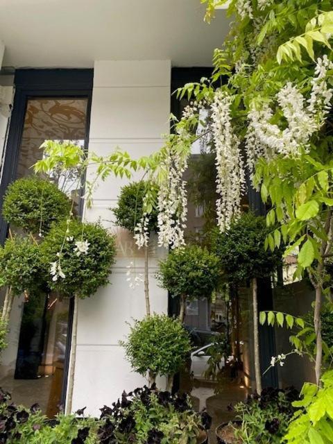 Ab Residences -Cihangir Luxury Antique Apartment Istambul Exterior foto